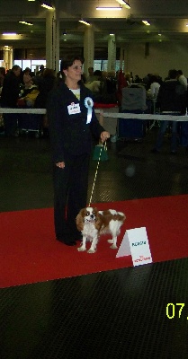 des légendes de Malbrouck - Résultat de l'expo de Metz les 2 jours 